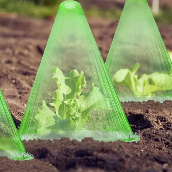 10PCS-ABS-Garden-Cloches-Solution-For-Plant-Care-And-Protection-Suitable-For-Various-Plants-Covers-1.webp