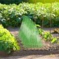 10PCS-ABS-Garden-Cloches-Solution-For-Plant-Care-And-Protection-Suitable-For-Various-Plants-Covers-2.webp