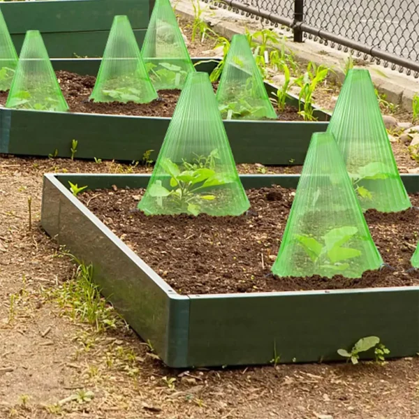 10PCS-ABS-Garden-Cloches-Solution-For-Plant-Care-And-Protection-Suitable-For-Various-Plants-Covers-3.webp