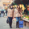 Tug-Bag-Shopping-Pouch-Reusable-Grocery-with-Wheel-Folding-Foldable-Collapsible-Trolley-Large-Bags-5.webp